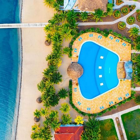The Placencia Maya Beach Ngoại thất bức ảnh