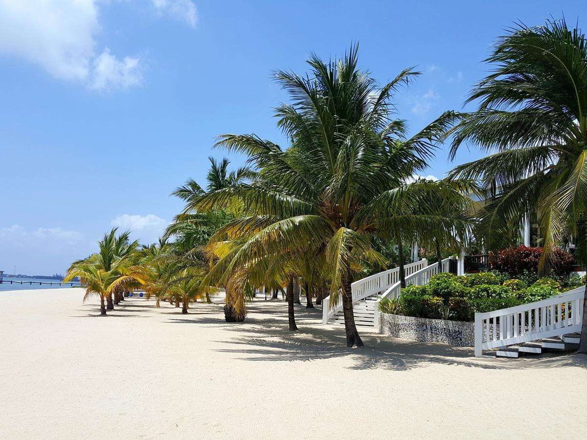 The Placencia Maya Beach Ngoại thất bức ảnh